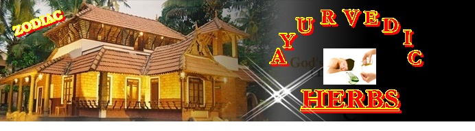eastrovedica, hindu astrology software consultancy and research, ayurdiet, ayurveda, kerala ayurveda 