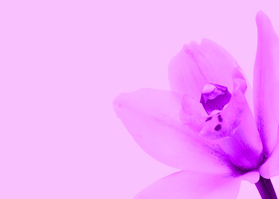 eastrovedica, hindu astrology software consultancy and research, ayurdiet, ayurveda, kerala ayurveda 