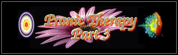 astrovedica, pranic therapy, hindu astrology software consultancy and research