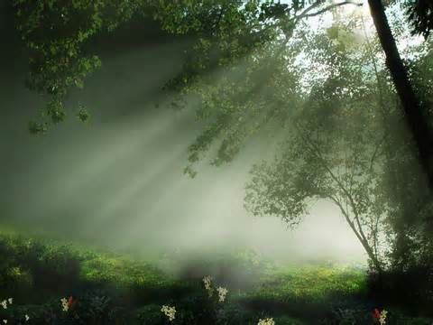 energy doctor, hindu astrology software consultancy and research, return to nature