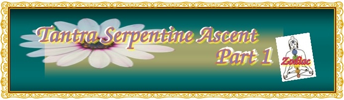 astrovedica, tantra, hindu astrology software consultancy and research