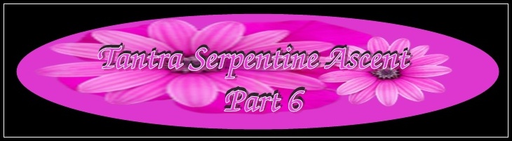 astrovedica, tantra, hindu astrology software consultancy and research