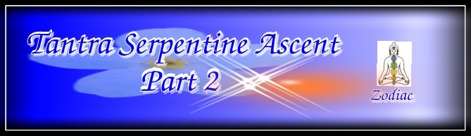 astrovedica, tantra, hindu astrology software consultancy and research