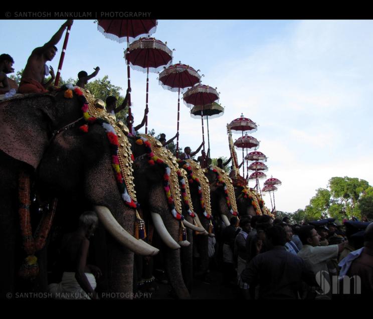 hindu astrology consultancy software and research, eastrovedica, trichur pooram, thrissur pooram