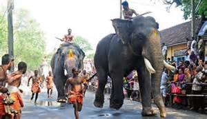 eastrovedica,guruvayur temple,guruvayur,anayottam