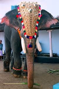 kerala tourism,,guruvayur temple,guruvayur4u,guruvayur temple