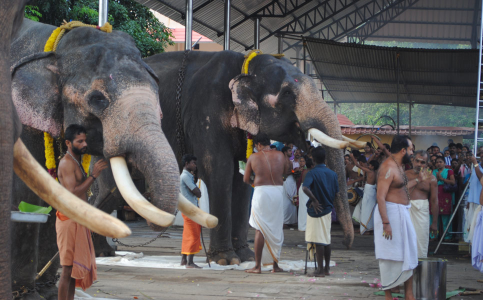 guruvayur,guruvayur temple,guruvayur4u, kottarakkara ganapathi temple