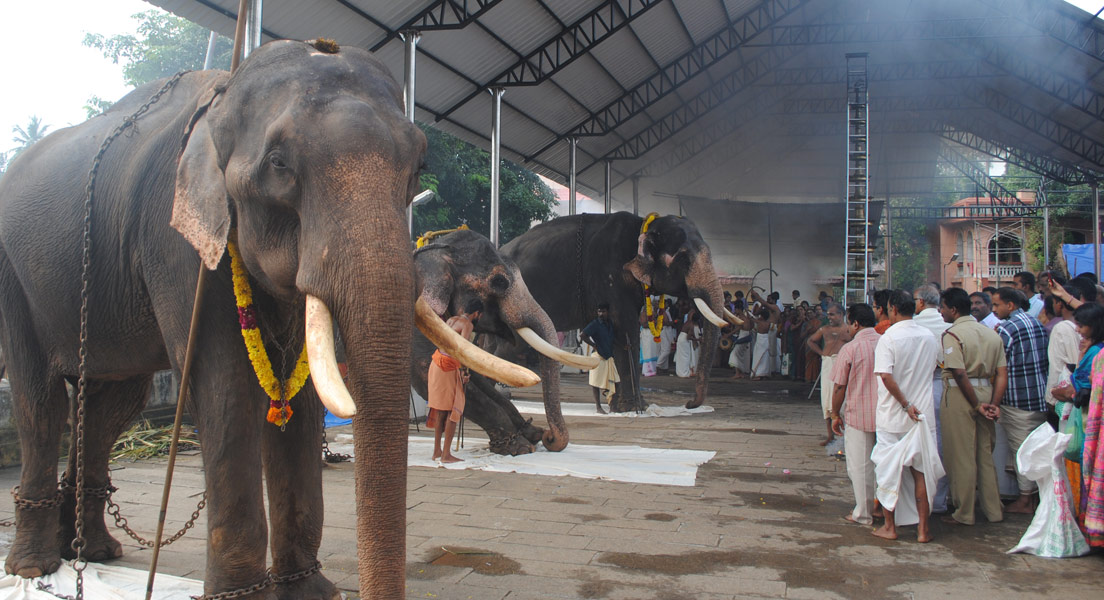 guruvayur,guruvayur temple,guruvayur4u, kottarakkara ganapathi temple