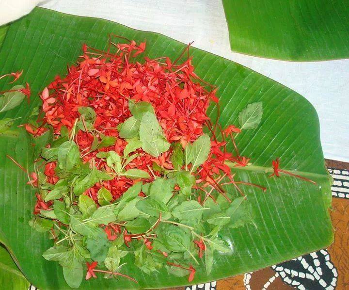 kerala tourism,,guruvayur temple,guruvayur4u,guruvayur temple