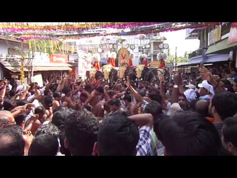 guruvayur,guruvayur temple,dhanwantari temple, nelluvai dhanwantari temple,