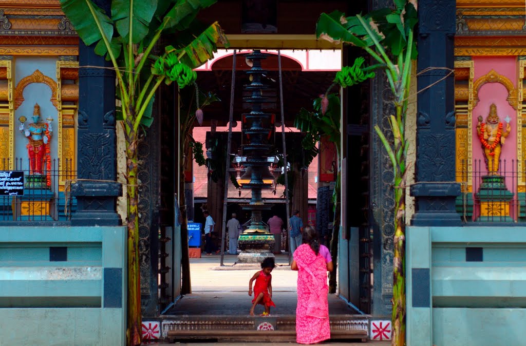 guruvayur,guruvayur temple,guruvayur4u,, thirumala devaswom temple, kochi temple 