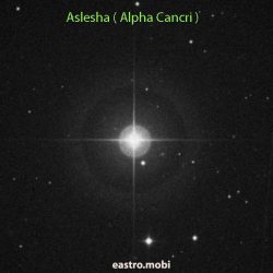 HIndu Astrology Consultancy Research & Software  – 9388556053 – eastrovedica.com- zodiacastro1 @gmail.com    
