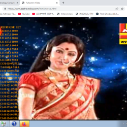HIndu Astrology Consultancy Research & Software  – 9388556053 – eastrovedica.com- zodiacastro1 @gmail.com    